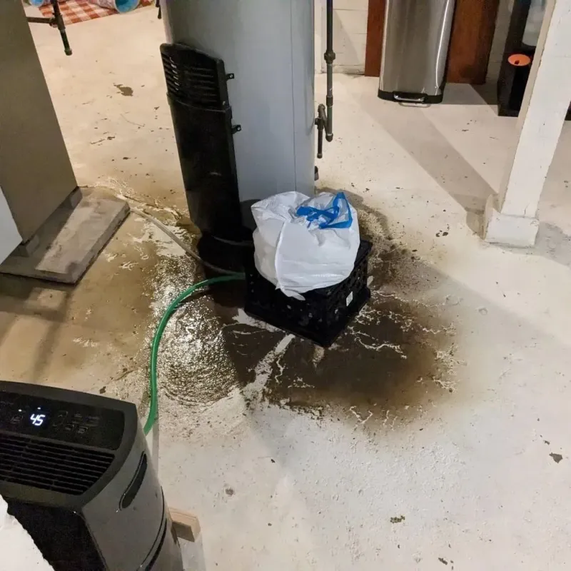 Sewage Backup Cleanup Service in Chalfont, PA